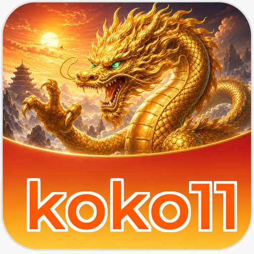 Developer Info koko11